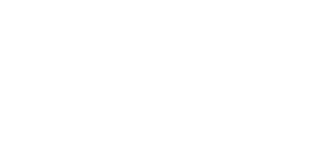 Dusemond ACE study programme logo in white