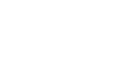Dusemond ACE study programme logo in white