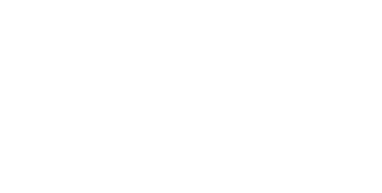 University of Essex Logo